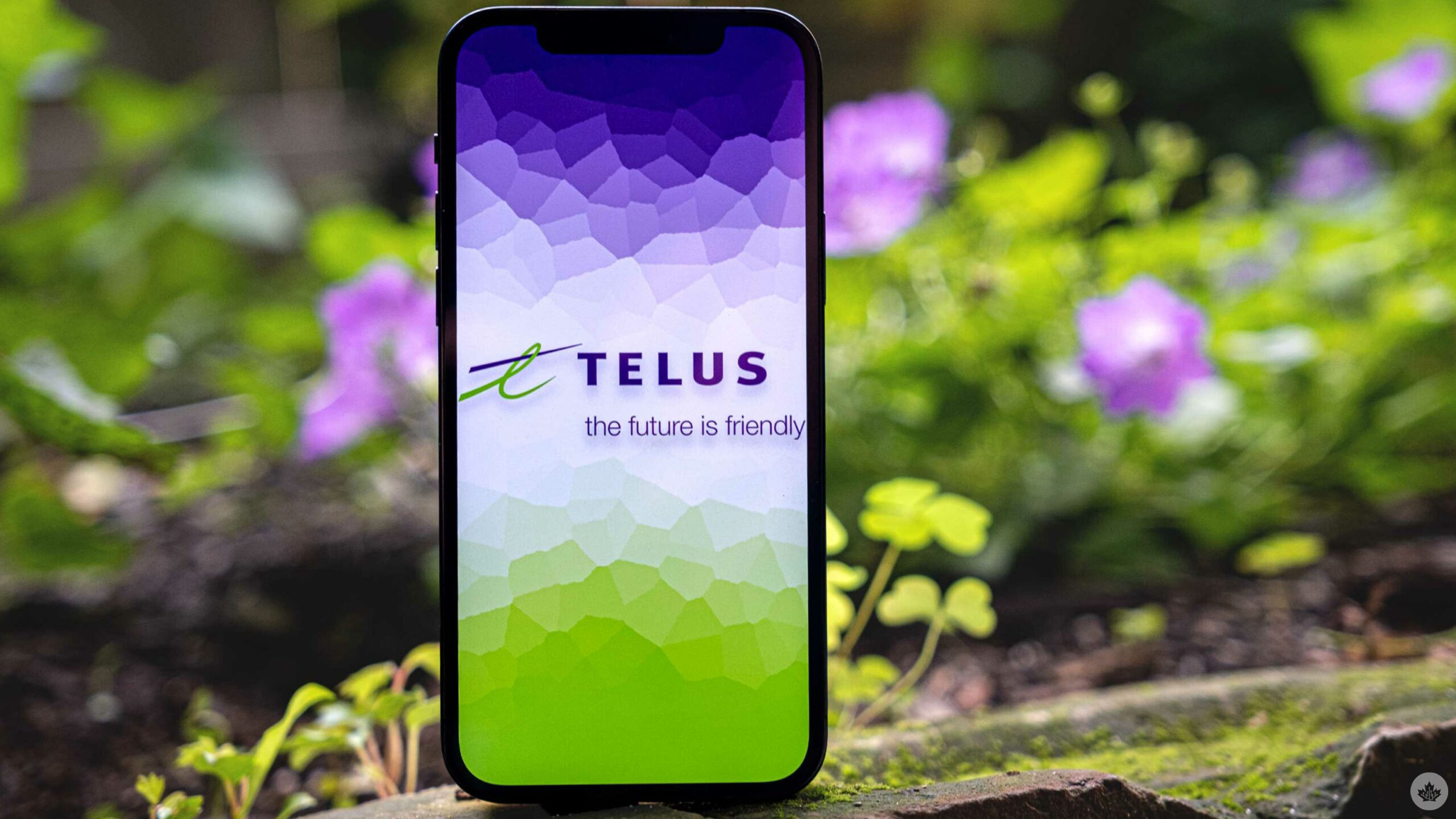 Telus investing $17B in BC for network, innovation. 26