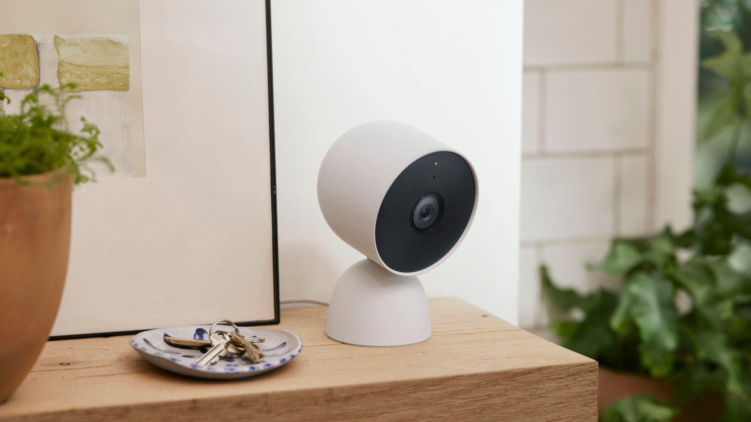 New Nest Cam features come to Google Home for web. 25