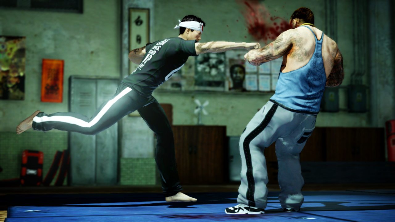 Sleeping Dogs GSP: Master Fighter 12