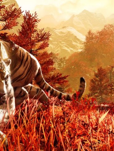 Far Cry 4 Review 28