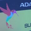 ADATA SU900 256GB Ultimate SSD Review 13