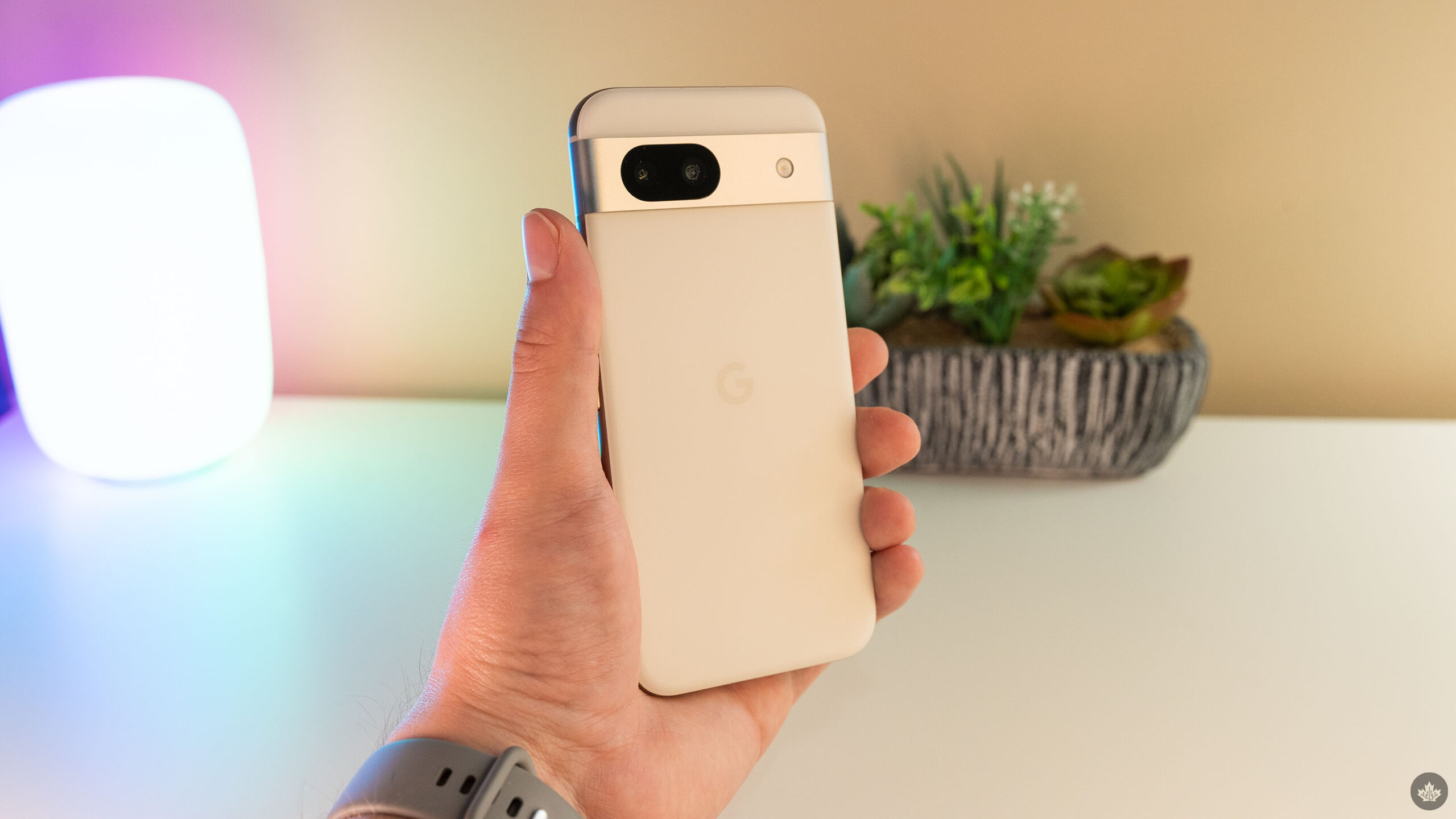 Pixel 8a Prices in Canada at Stores and Carriers 24